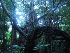 IMG_0916.jpg